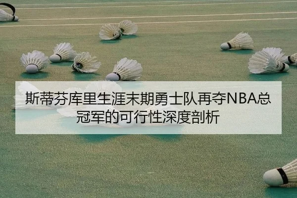 斯蒂芬库里生涯末期勇士队再夺NBA总冠军的可行性深度剖析