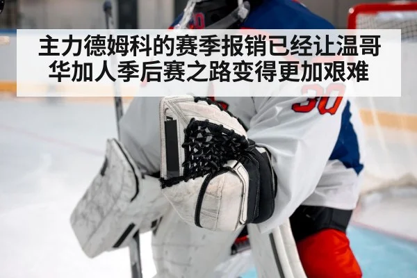 主力德姆科的赛季报销已经让温哥华加人季后赛之路变得更加艰难