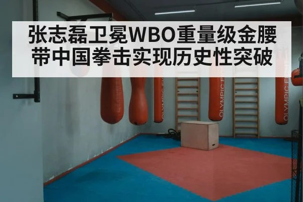 张志磊卫冕WBO重量级金腰带中国拳击实现历史性突破