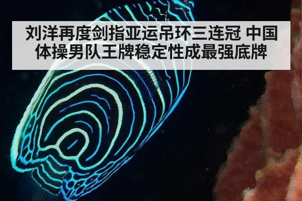 刘洋再度剑指亚运吊环三连冠 中国体操男队王牌稳定性成最强底牌
